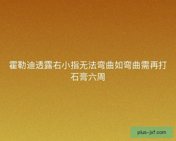 霍勒迪透露右小指无法弯曲如弯曲需再打石膏六周 霍勒迪透露右小指无法弯曲如弯曲需再打石膏六周